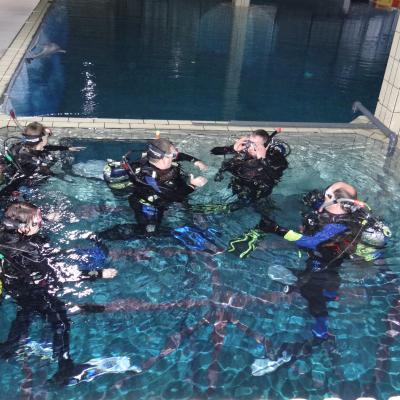 Tsd Divers